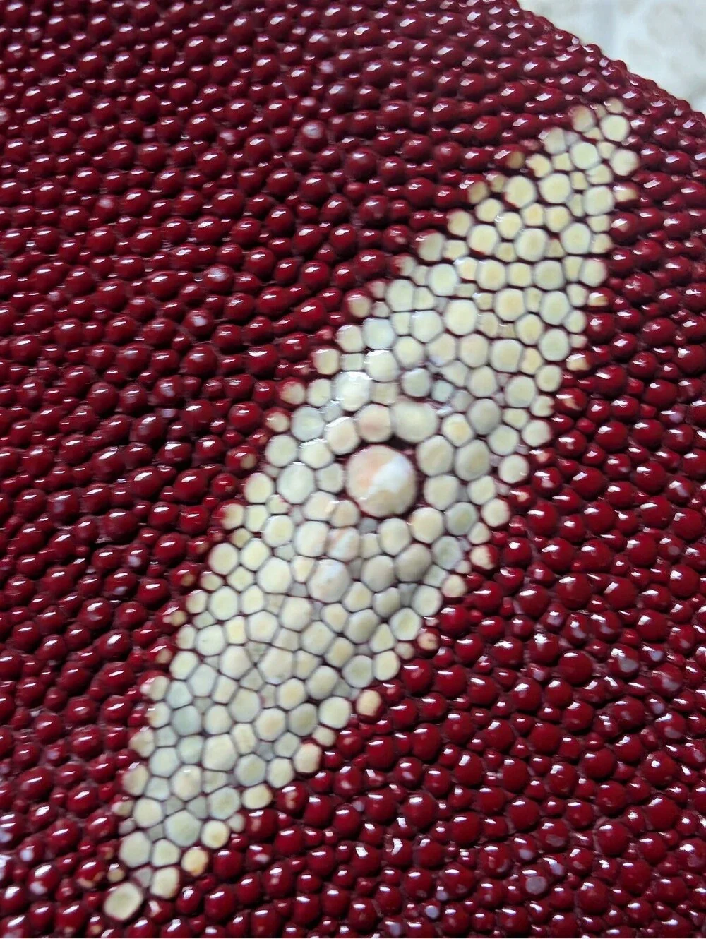 Genuine Stingray Leather Long Wallet with Multiple Card Slots